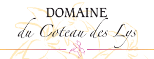 Boutique du Domaine du Coteau des Lys